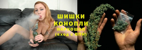 ГАЛЛЮЦИНОГЕННЫЕ ГРИБЫ Богданович