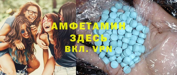 ГАЛЛЮЦИНОГЕННЫЕ ГРИБЫ Богданович
