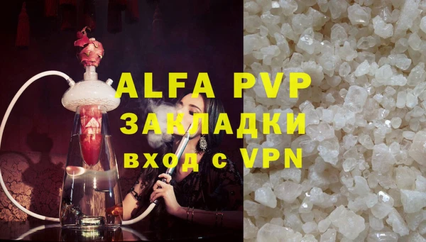 прущие грибы Баксан