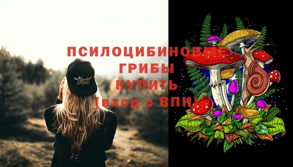 прущий лед Верея