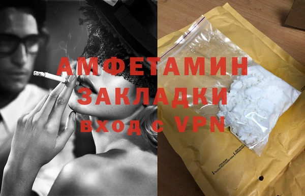 ГАЛЛЮЦИНОГЕННЫЕ ГРИБЫ Богданович