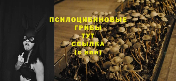 ГАЛЛЮЦИНОГЕННЫЕ ГРИБЫ Богданович