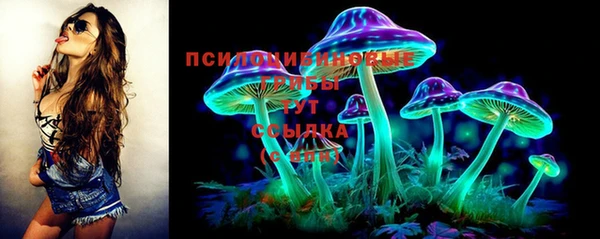 ГАЛЛЮЦИНОГЕННЫЕ ГРИБЫ Богданович