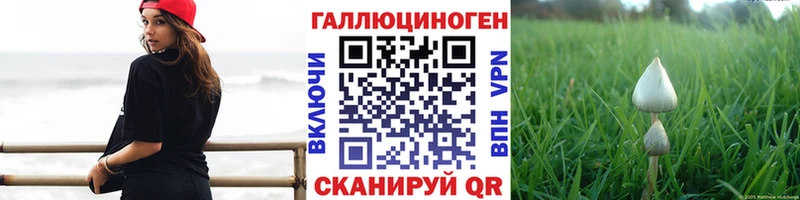закладки  Гаврилов-Ям  Псилоцибиновые грибы Psilocybe 